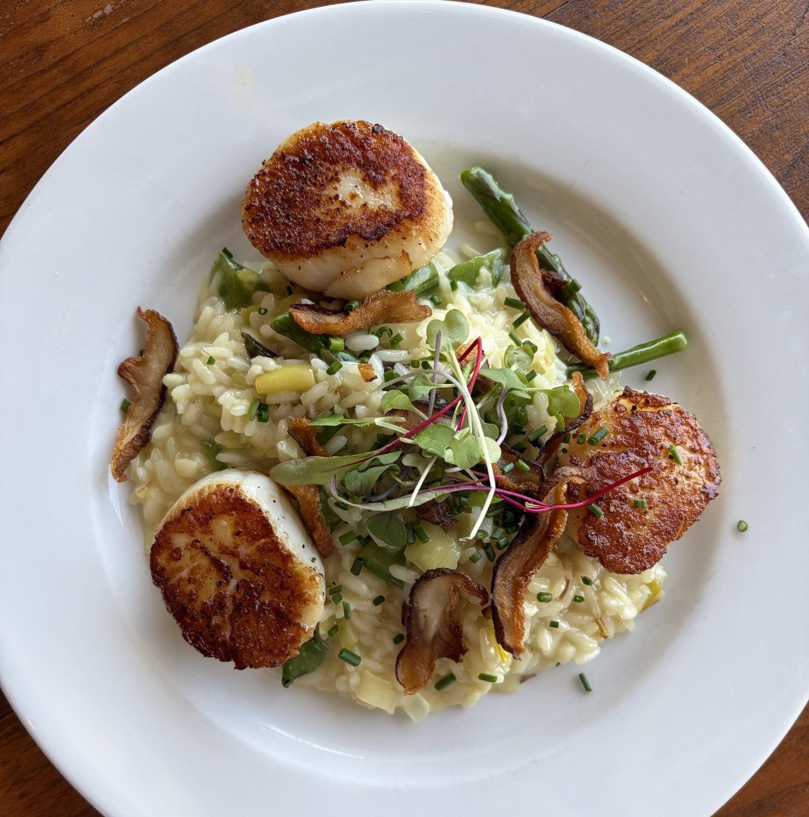 Seared scallops over risotto with mushrooms and microgreens